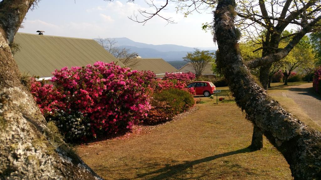Kloofsig Holiday Cottages Graskop Ngoại thất bức ảnh